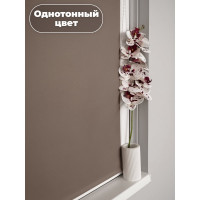 Однотонная рулонная штора Peora мокко 100х170 см 71029