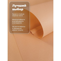 Однотонная рулонная штора DDA персиковая 52х170 см 71133