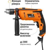 Ударная дрель TDM ELECTRIC ДУ-710 Рубин 710 Вт SQ1086-0102
