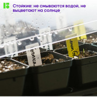 Набор перманентных маркеров Berlingo MultiLine PE320 4цв., пулевидный, трехгранный, 3мм BMc_17409