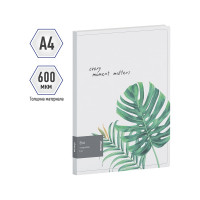 Папка на 4 кольцах BERLINGO Eco 24 мм, 600 мкм, D-кольца, с внутренним карманом, с рисунком RB4_4D801