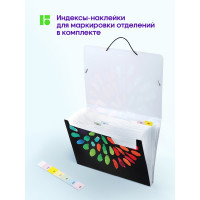 Папка BERLINGO Aqua на резинке 12 отделений A4, 330х240х25 мм, 700 мкм, c рисунком XF4_12011