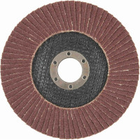 Диск лепестковый торцевой по металлу (10 шт; 125x22.2 мм; P150) Orientcraft OCF12522150