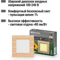 Светильник TDM ELECTRIC светодиодный потолочный накладной квадрат "Даунлайт" СПО (сосна) 6 Вт 120х120х32 мм 3000К SQ0329-0418
