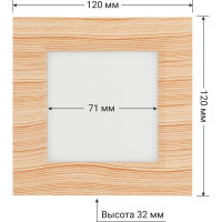 Светильник TDM ELECTRIC светодиодный потолочный накладной квадрат "Даунлайт" СПО (сосна) 6 Вт 120х120х32 мм 3000К SQ0329-0418