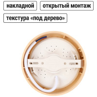 Светильник TDM ELECTRIC светодиодный потолочный накладной круг "Даунлайт" СПО (сосна) 6 Вт 120х32 мм 3000К SQ0329-0411
