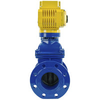 Задвижка клиновая DN.ru 30ч939р Ду100 Ру16 с электроприводом MT-100 220В, цвет - синий D040-00777