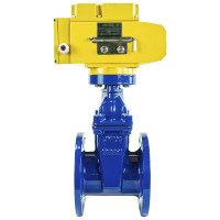 Задвижка клиновая DN.ru 30ч939р Ду100 Ру16 с электроприводом MT-100 220В, цвет - синий D040-00777