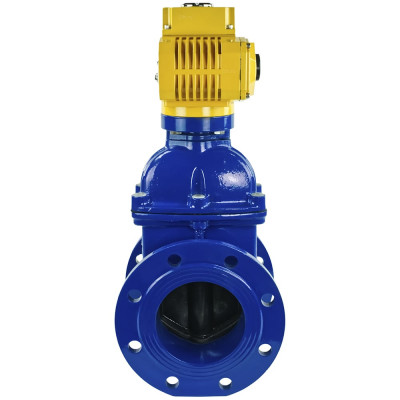 Задвижка клиновая DN.ru 30ч939р Ду150 Ру16 с электроприводом MT-100 220В, цвет - синий D040-00787