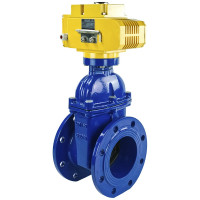 Задвижка клиновая DN.ru 30ч939р Ду150 Ру16 с электроприводом MT-200 380В, цвет - синий D040-05455