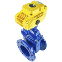 Задвижка клиновая DN.ru 30ч939р Ду150 Ру16 с электроприводом MT-200 380В, цвет - синий D040-05455