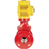 Задвижка клиновая DN.ru 30ч939р Ду65 Ру16 с электроприводом MT-50 220В, цвет - красный D040-00721