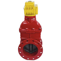 Задвижка DN.ru 30ч939р GGG50-EPDM-F4-RED Ду250 Ру16 электропривод MT-300 380В D040-00752