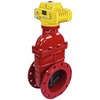 Задвижка DN.ru 30ч939р GGG50-EPDM-F4-RED Ду250 Ру16 электропривод MT-300 380В D040-00752