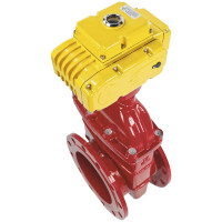 Задвижка DN.ru 30ч939р GGG50-EPDM-F4-RED Ду250 Ру16 электропривод MT-300 380В D040-00752