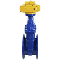 Задвижка DN.ru 30ч939р -300-10-GGG50-EPDM-F4-BLUE Ду300 Ру10 электропривод MT 220В D040-00808