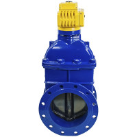 Задвижка DN.ru 30ч939р -300-10-GGG50-EPDM-F4-BLUE Ду300 Ру10 электропривод MT 220В D040-00808