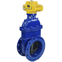 Задвижка DN.ru 30ч939р -300-10-GGG50-EPDM-F4-BLUE Ду300 Ру10 электропривод MT 220В D040-00808