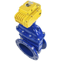 Задвижка DN.ru 30ч939р -300-10-GGG50-EPDM-F4-BLUE Ду300 Ру10 электропривод MT 220В D040-00808