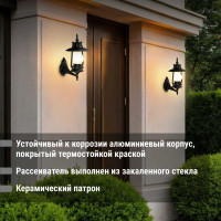 Светильник уличный TDM ELECTRIC "Кантри" 60 Вт, вверх, матовое/черный, Е27 SQ0330-0099
