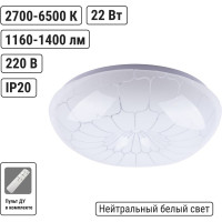 Светильник потолочный светодиодный LED СПС 03 22Вт с изменением яркости и цвета 2700К-6500К D35см, Паутина TDM ELECTRIC SQ0329-0173