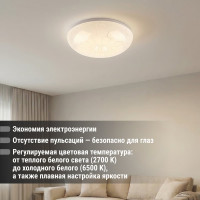 Светильник потолочный светодиодный LED СПС 03 22Вт с изменением яркости и цвета 2700К-6500К D35см, Паутина TDM ELECTRIC SQ0329-0173