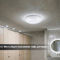 Светильник потолочный светодиодный LED СПС 03 22Вт с изменением яркости и цвета 2700К-6500К D35см, Паутина TDM ELECTRIC SQ0329-0173