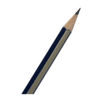 Набор карандашей чернографитных Faber-Castell, 12 шт в наборе, Goldfaber 1222 B, с ластиком, заточенные 116801