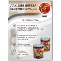 Быстросохнущий лак Poli-R (шелковисто-матовый; 2.5 л) 13537