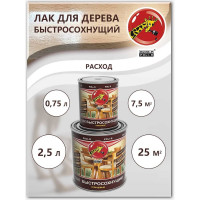 Быстросохнущий лак Poli-R (шелковисто-матовый; 2.5 л) 13537