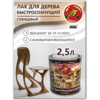 Быстросохнущий лак Poli-R (глянцевый; 2.5 л) 13510