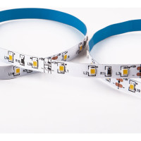 Светодиодная лента Elektrostandard SLS 01 CW 5m 2835 12V 60Led 4.8W IP20 4200K дневной белый a050168