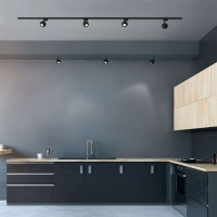 Потолочный светодиодный светильник Elektrostandard LTB77 Ball, черный 12W 4200K (LTB77) однофазный a053743