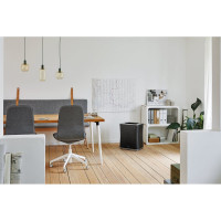 Очиститель воздуха Stadler Form Roger big, R-018