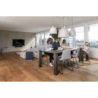 Очиститель воздуха Stadler Form Roger big, R-018