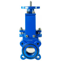 Задвижка шиберная DN.ru GGG40-SS304-NBR-2W-ISO Ду50 Ру16, голый шток, ISO-фланец D040-03146