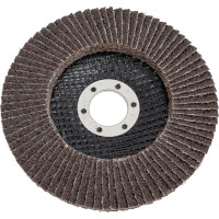 Круг шлифовальный лепестковый (125x22.4 мм; G36) HOEGERT TECHNIK HT8D050