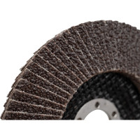 Круг шлифовальный лепестковый (125x22.4 мм; G36) HOEGERT TECHNIK HT8D050