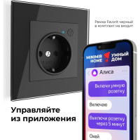 Умная встраиваемая розетка Werkel с заземлением, с защитными шторками, черный матовый a056422