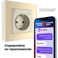 Умная встраиваемая розетка WERKEL с заземлением, с защитными шторками, слоновая кость a056421