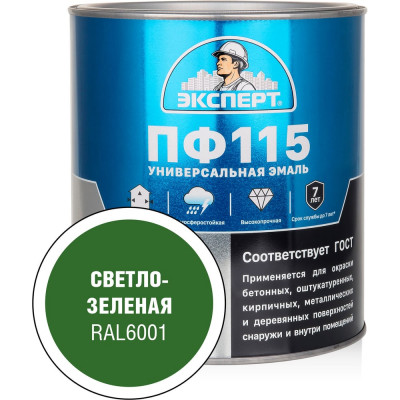Эмаль ЭКСПЕРТ ПФ-115 глянцевая, светло-зеленая, RAL 6001 2.7 кг 34108