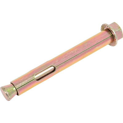 Анкерный болт с гайкой SWFS 12х100, 2 шт. пакетик тов-111573