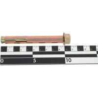 Анкерный болт с гайкой SWFS 12х100, 2 шт. пакетик тов-111573