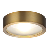 Потолочный светильник ODEON LIGHT LED 1*7W REUS 4342_7CL