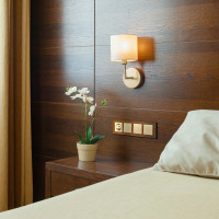 Одноклавишный выключатель WERKEL W1110011 шампань a050869