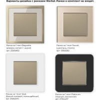 Одноклавишный выключатель WERKEL W1110011 шампань a050869