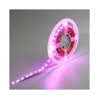 Яркая светодиодная многоцветная лента Wolta 14,4Вт/м, напряжение 24В, RGB, 60 диодов на метр, защита IP65, ширина подложки 10 мм, длина 5 м WLS5050-14,4W/RGB/24S60-01