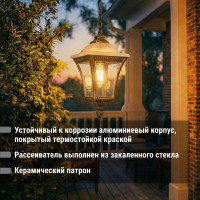 Светильник уличный TDM ELECTRIC "Глазурь" 60 Вт, подвес, прозрачное/бронза, Е27 SQ0330-0329