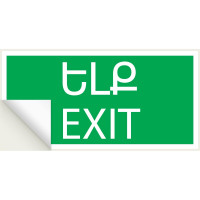 Знак "ВЫХОД" TDM ELECTRIC 200х100мм (армянский язык), в упаковке 10 штук SQ0817-0071
