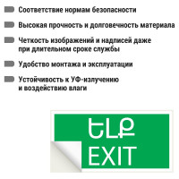 Знак "ВЫХОД" TDM ELECTRIC 200х100мм (армянский язык), в упаковке 10 штук SQ0817-0071